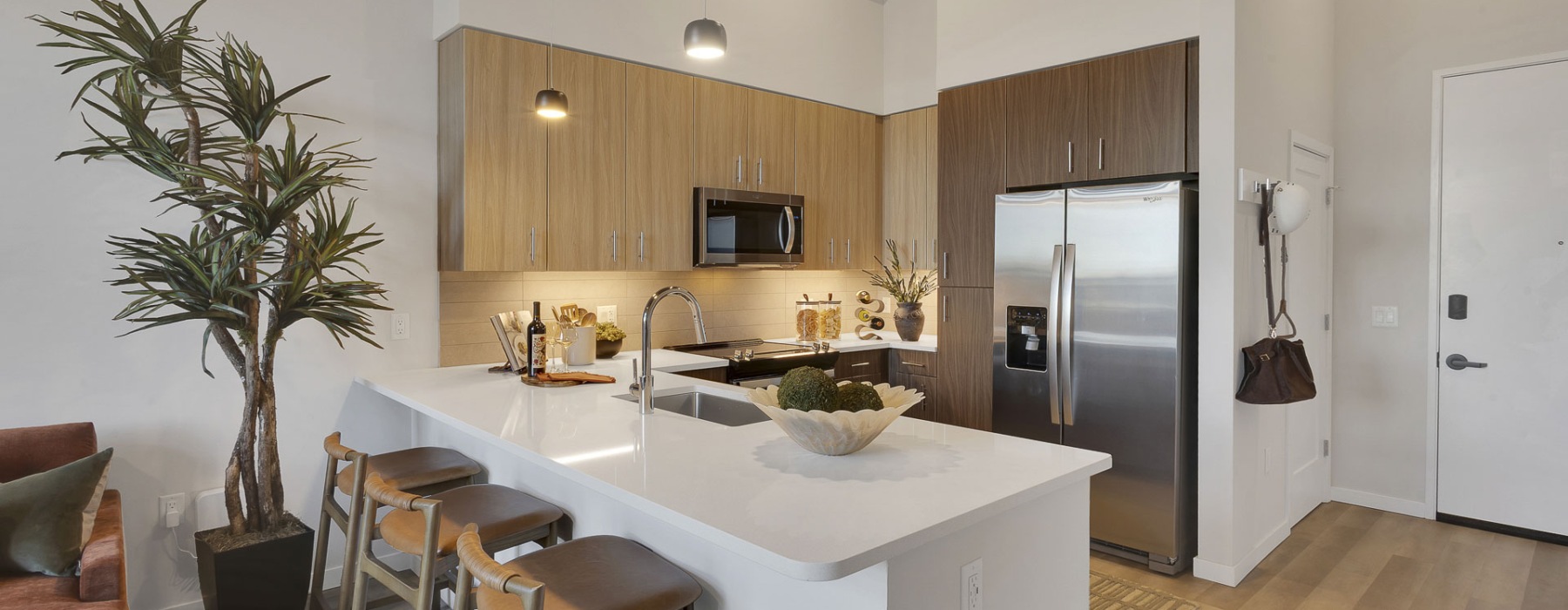 Furnished Luxury Apartment